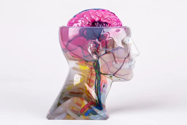 Multi Color Resin PolyJet printed part